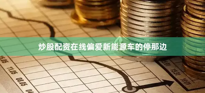 炒股配资在线偏爱新能源车的停那边